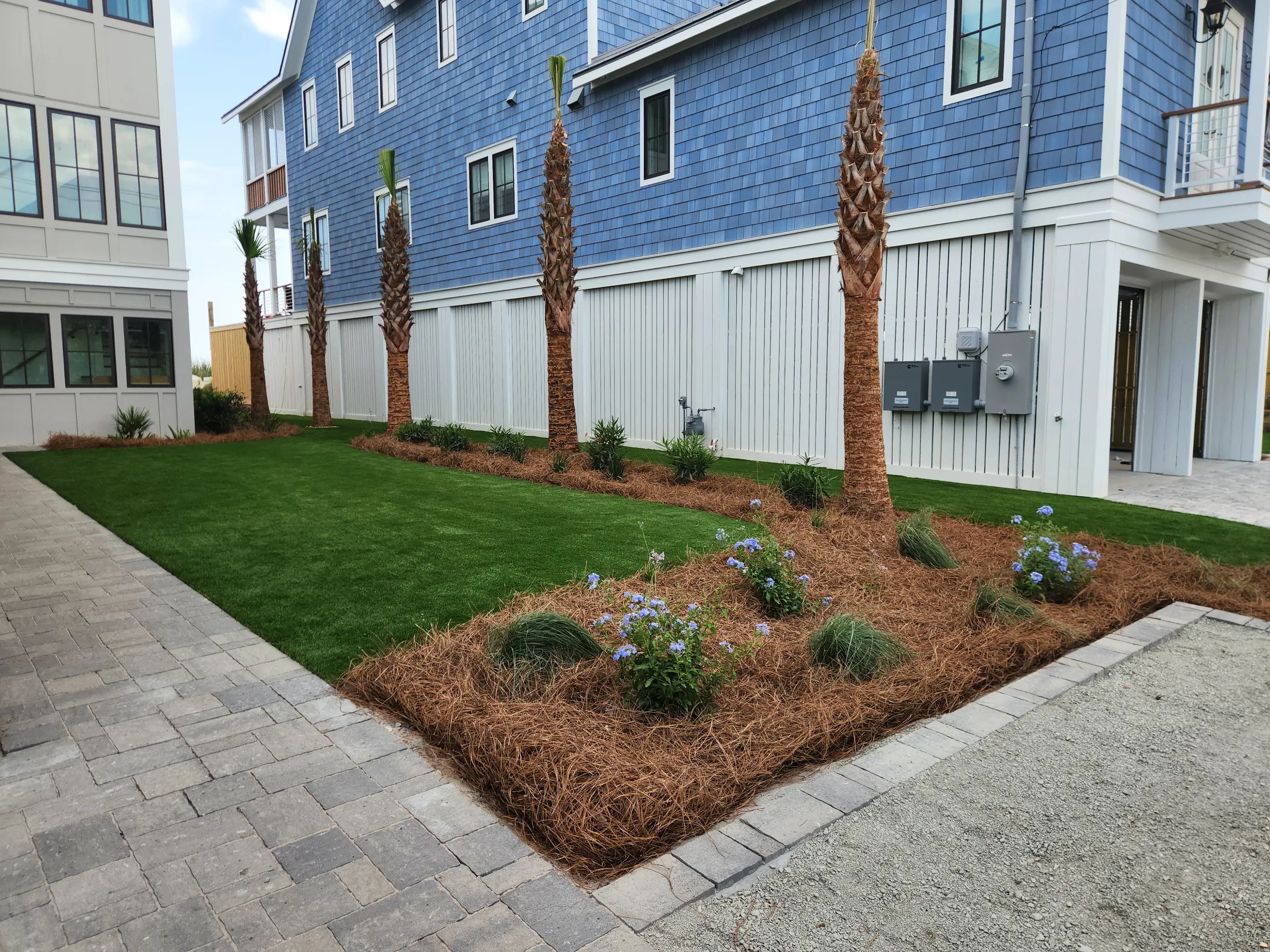 Completed Priority Landscaping installation with paver walkway, fresh sod, mulched beds and newly planted palms at a Charleston home